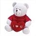 I LOVE YOU PLUSH TEDDY BEAR VALENTINES DAY GIFT HIM HER