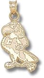 Eastern Michigan Eagles 14KT Gold Eagle Pendant