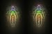 Woman and Man Silhouette with Aura, Chakras, Energy - 36"W x 24"H - Peel and Stick Wall Decal by Wallmonkeys