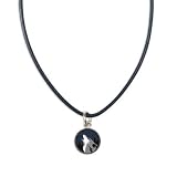 Minnesota Timberwolves Official Logo 18