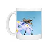 Assassin Bug - Hunting on flowers of Forget-me-Not Photo Mugs