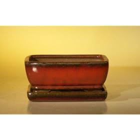 Bonsai Boy's Ceramic Bonsai Pot With Attached Humidity/Drip tray- Rectangle6.37" x 4.75" x 2.625"