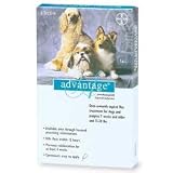 Advantage - For Dogs And Puppies 11-20 Lb by Advantage