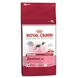 Eigenschaften ROYAL CANIN  / Royal Canin MEDIUM Junior 32