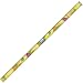 Inflatable Limbo Stick