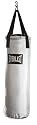 Everlast 80-Pound Platinum Heavy Bag