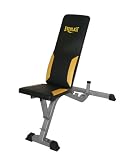 Everlast Flat to Incline Dumbbell Bench with Lumbar Support