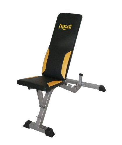 SportingGoods: Everlast Flat to Incline Dumbbell Bench with Lumbar Support