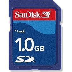 SanDisk 1 GB Secure Digital SD Card (SDSDB-1024, Bulk Package)