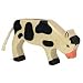 Calf, grazing, black_s-1
