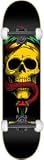 Powell Mcgill Bl-Skull/Snake 5 Rasta Skateboard - 7.62 w/Mini Logos
