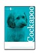 Cockapoo Dog Grooming Instructional How To DVD Video and Equipment Guide