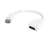 StarTech Mini DVI to HDMI Video Cable Adapter for ...