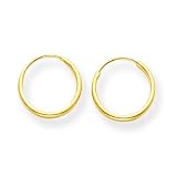 14k EndleSterling SilverHoop Earrings