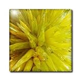 IMAGE OF Yellow Shine - 4 Inch Glass Tile