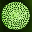Neon Yellow Classic Crocheted Hair Bun Cover XL