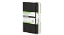London Notebook (Moleskine City Pocket Book)
