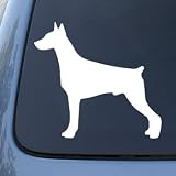 DOBERMAN SILHOUETTE - Dog - Vinyl Decal Sticker #1508 | Vinyl Color: White