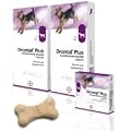 Drontal Plus for Dogs Bone Shaped Worming Tablet Packs (Pack Size: 6 Tablets)