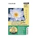 FujiFilm 6x4 270gsm Premium Plus Gloss Paper - 50 Sheets