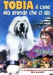 Tobia Il Cane Piu Grande Che Ci Sia