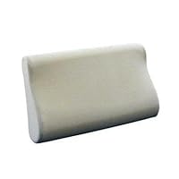 Visco Elastic Memory Foam Pillow w/Terry Cover