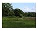 Paarden langs Drenthse Aa bij Schipborg Emerging Artists Photographic Poster Print by Rudi Walstra, 20x16