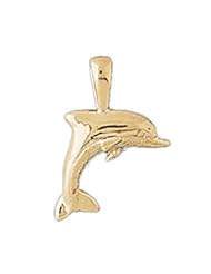 Dazzlers Solid 14karats gold Dolphin Charm Pendant Available in three colors from jewelsberry (weights: 0.9 grams only)