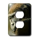 Monkey - Gorilla Portrait - Light Switch Covers - 2 plug outlet cover