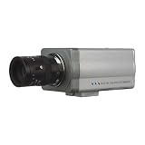 Professional Grade 420 TVL Color Security Camera, Sharp CCD, Automatic/Switchable Gain Control & BLC, Supports DC or Video Auto Iris Lens
