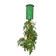 Felknor Ventures 82506 Topsy Turvy Upside-Down Tomato Planter by Cava