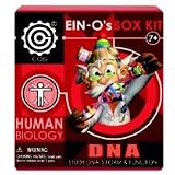 EIN-O's Science Human Biology DNA
