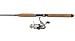 JBI Black Diamond Noodle Rod / Okuma Avenger Spinning Combo 9' 0