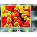 Cell City (CD-ROM)