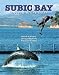 Subic Bay Travel and Diving Guide