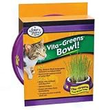Four Paws Vita Greens Bowl and Grass Combo