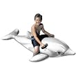 Dolphin Ride on