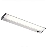 CSL Lighting CAF-34SS 2 Light CounterAttack TFluorescent