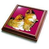 Dogs Pekingese - Pekingese - Trivets