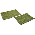 IMAX 94404-2 Hilaire Glass Tray, Set of 2