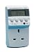 Kitchen & Housewares : Crown CRA8442/H 24HR Digital Timer