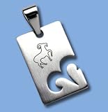 Stainless Steel Pendant an Chain- Etched Zodiac Design-Aries, 0.00IN