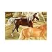 BREYER CLASSICS SILVER BAY MUSTANG