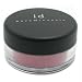 Bare Escentuals Bareminerals Blush secret