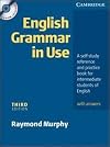 English Grammar In Use