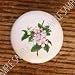 ARKANSAS APPLE BLOSSOM FLOWERS DRAWER PULLS KNOBS