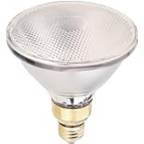 Keystore #70916 WP 45W Par38 Flood Bulb