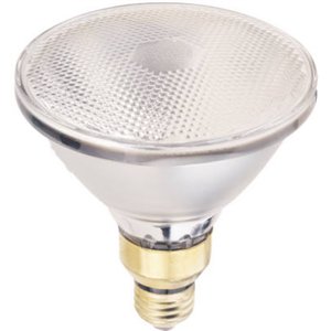 WP 45W Par38 FLD Bulb