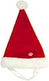 Outward Hound Kyjen  30038 Dog Santa Hat Holiday and Christmas Pet Accessory, Small, Red, Red