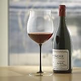 Review The Wine Enthusiast  / Riedel Sommeliers Black Tie Burgundy Grand Cru Wine Glass (1